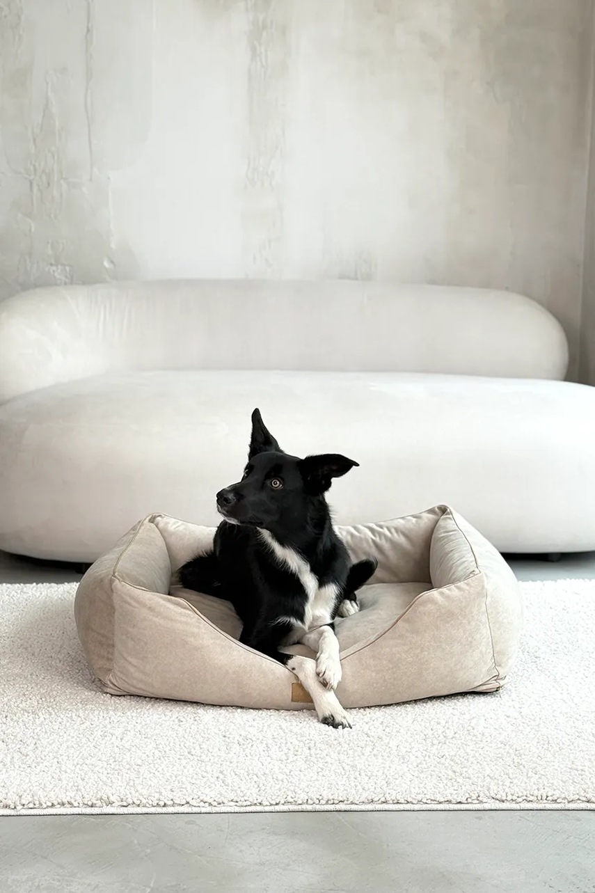 Κρεβάτι για κατοικίδια Bebobi Moe 85 x 75 x 20 cm φωτογραφία