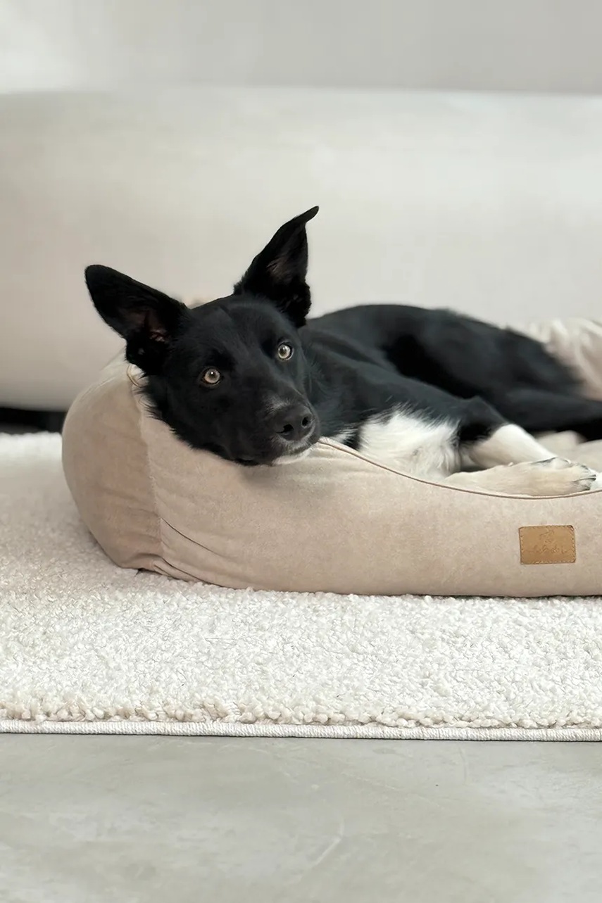 Κρεβάτι για κατοικίδια Bebobi Moe 85 x 75 x 20 cm φωτογραφία