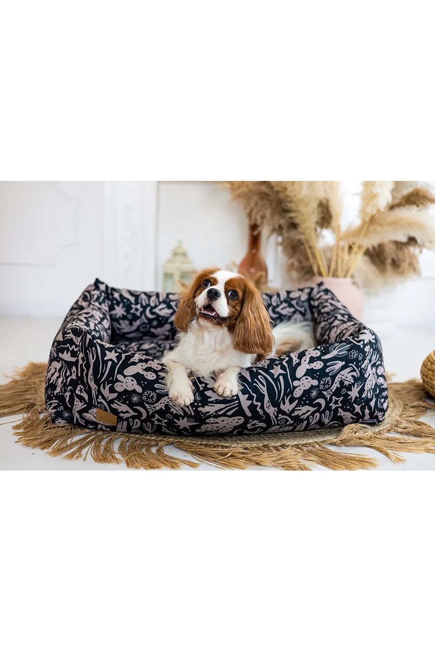 Ορθοπεδικό κρεβάτι για κατοικίδιο Bebobi Sono 70 x 50 x 17 cm φωτογραφία