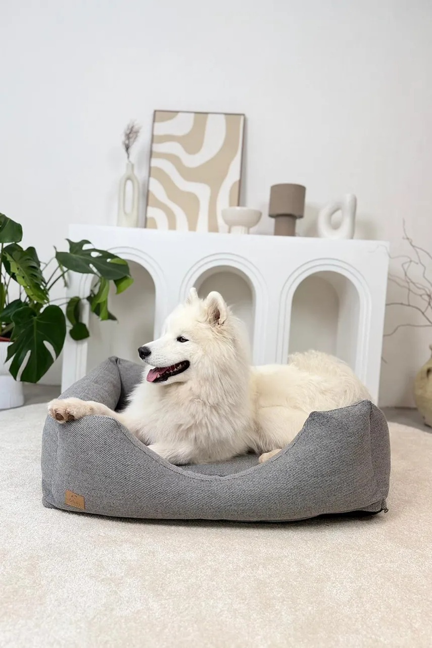 Ορθοπεδικό κρεβάτι για κατοικίδιο Bebobi Lilo 65 x 50 x 17 cm φωτογραφία