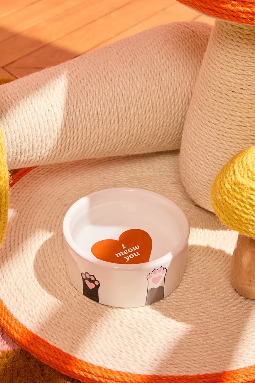 Μπολ γάτας Fluid Market 12,2 x 5,3 cm φωτογραφία