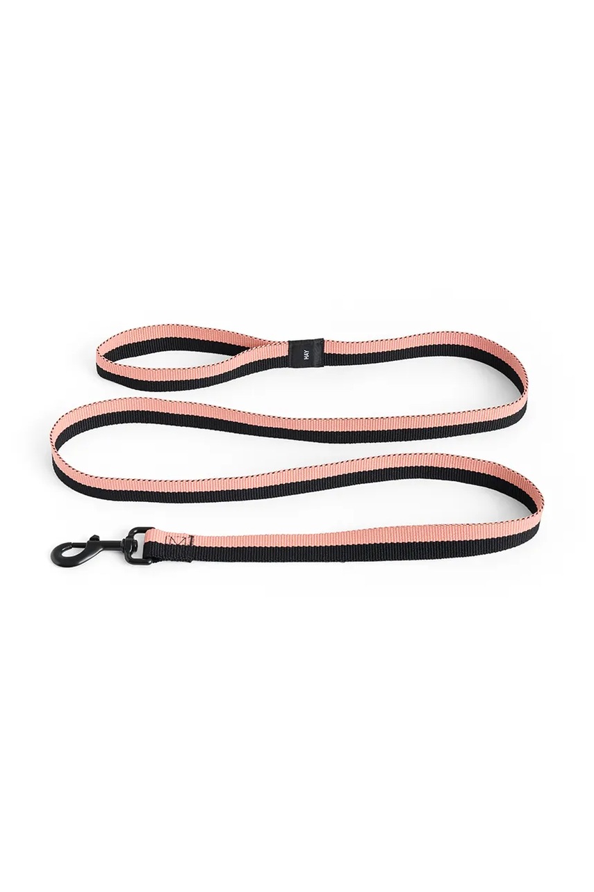 HAY λουρί για σκύλο 2,5 x 160 cm AD865.D029.AS17