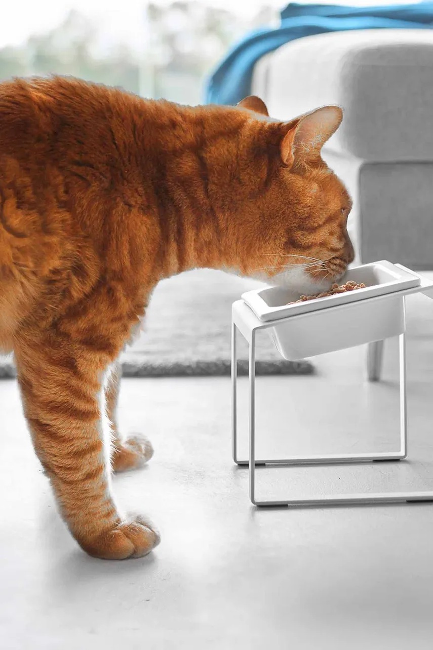 Yamazaki μπολ για κατοικίδιο 15 x 15,5 x 17,6 cm φωτογραφία