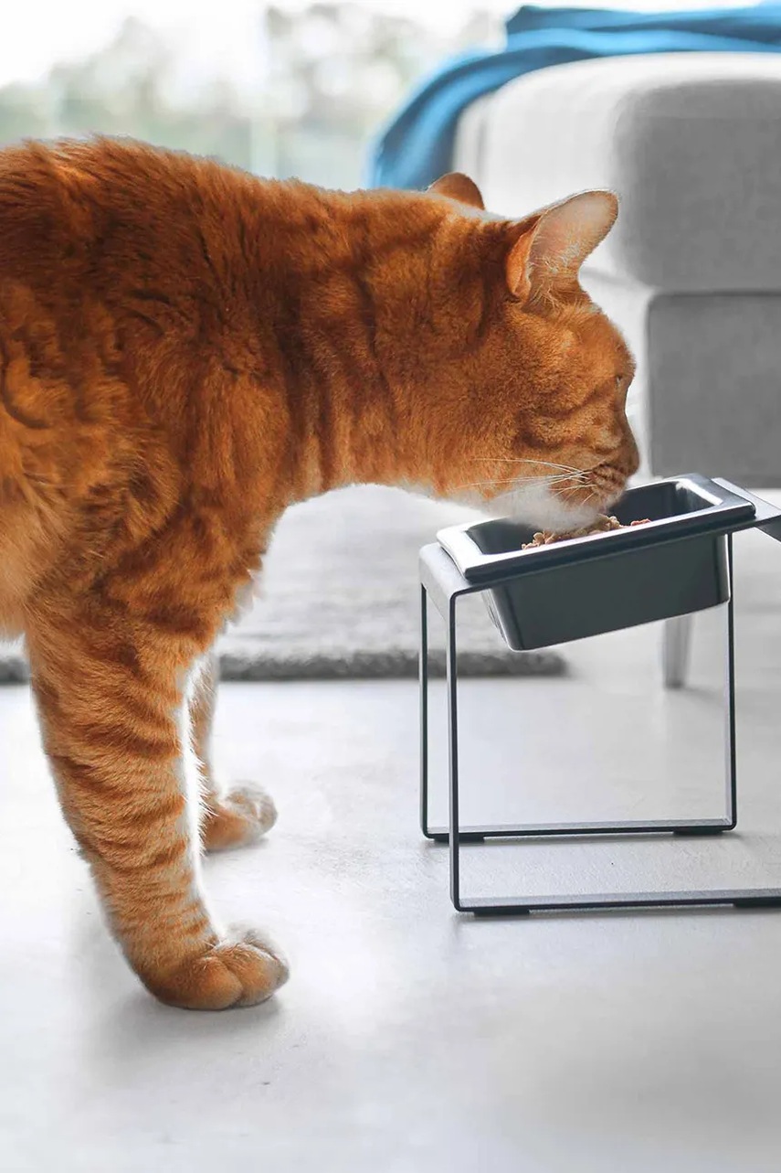 Yamazaki μπολ για κατοικίδιο 15 x 15,5 x 17,6 cm φωτογραφία