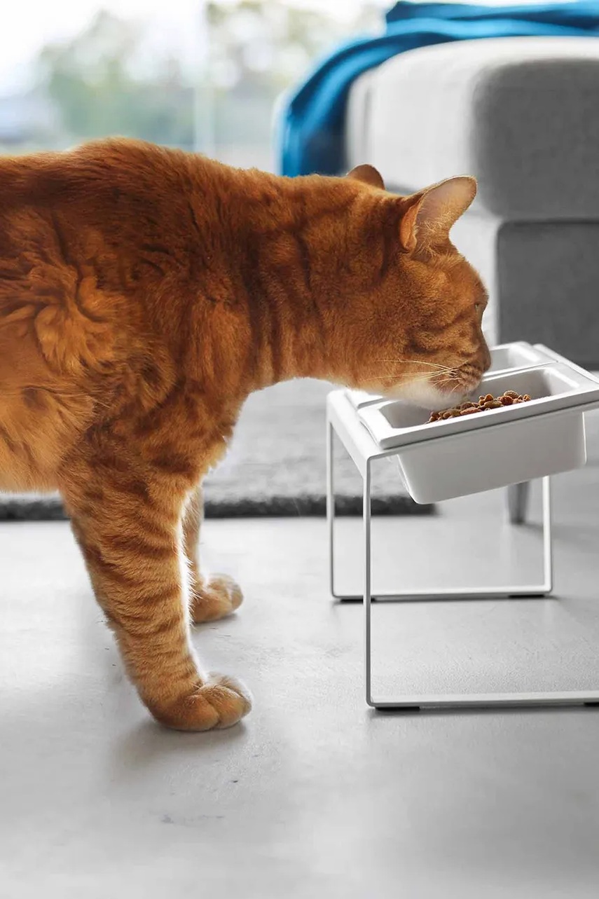 Yamazaki Μπολ για κατοικίδιο 29 x 15,5 x 17,6 cm φωτογραφία