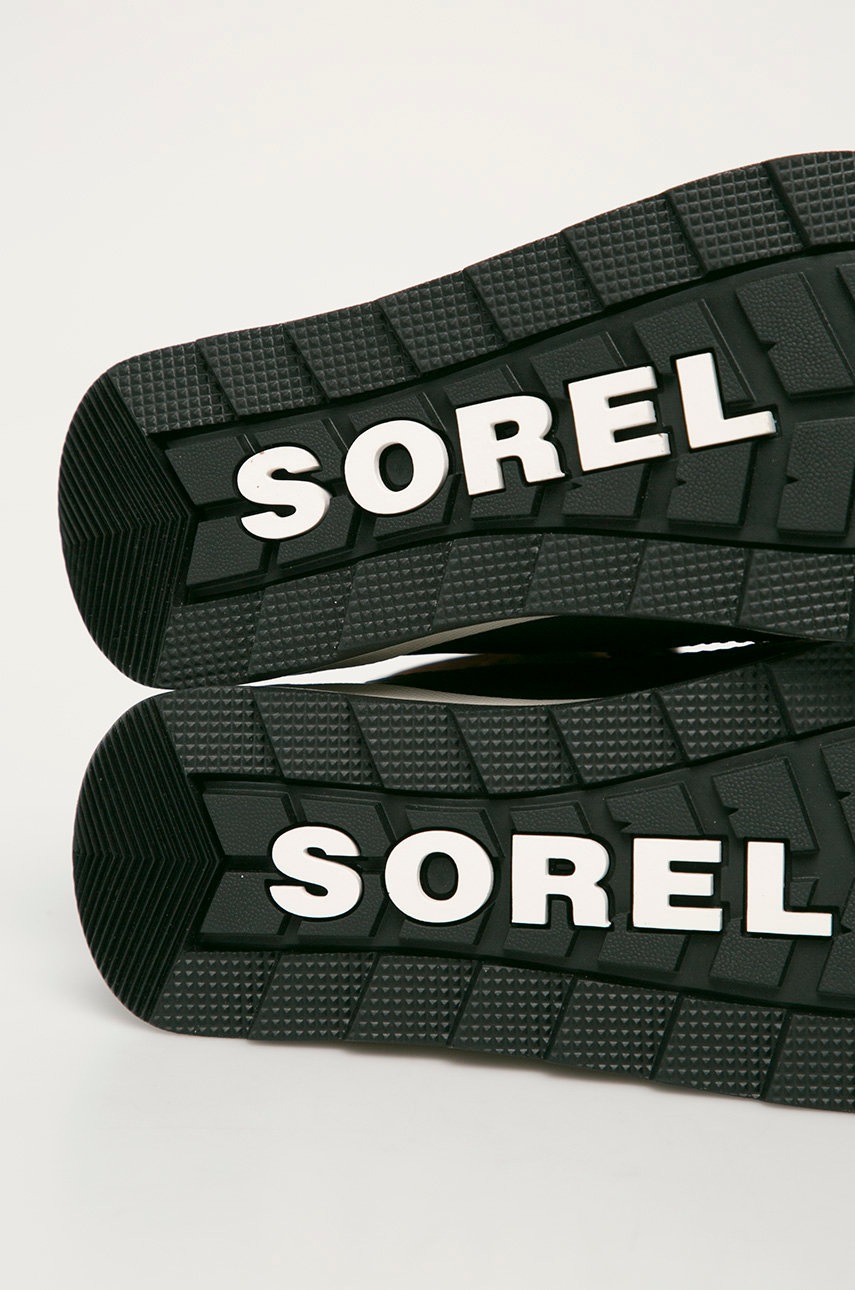 Sorel Sněhule (obrázek 4)