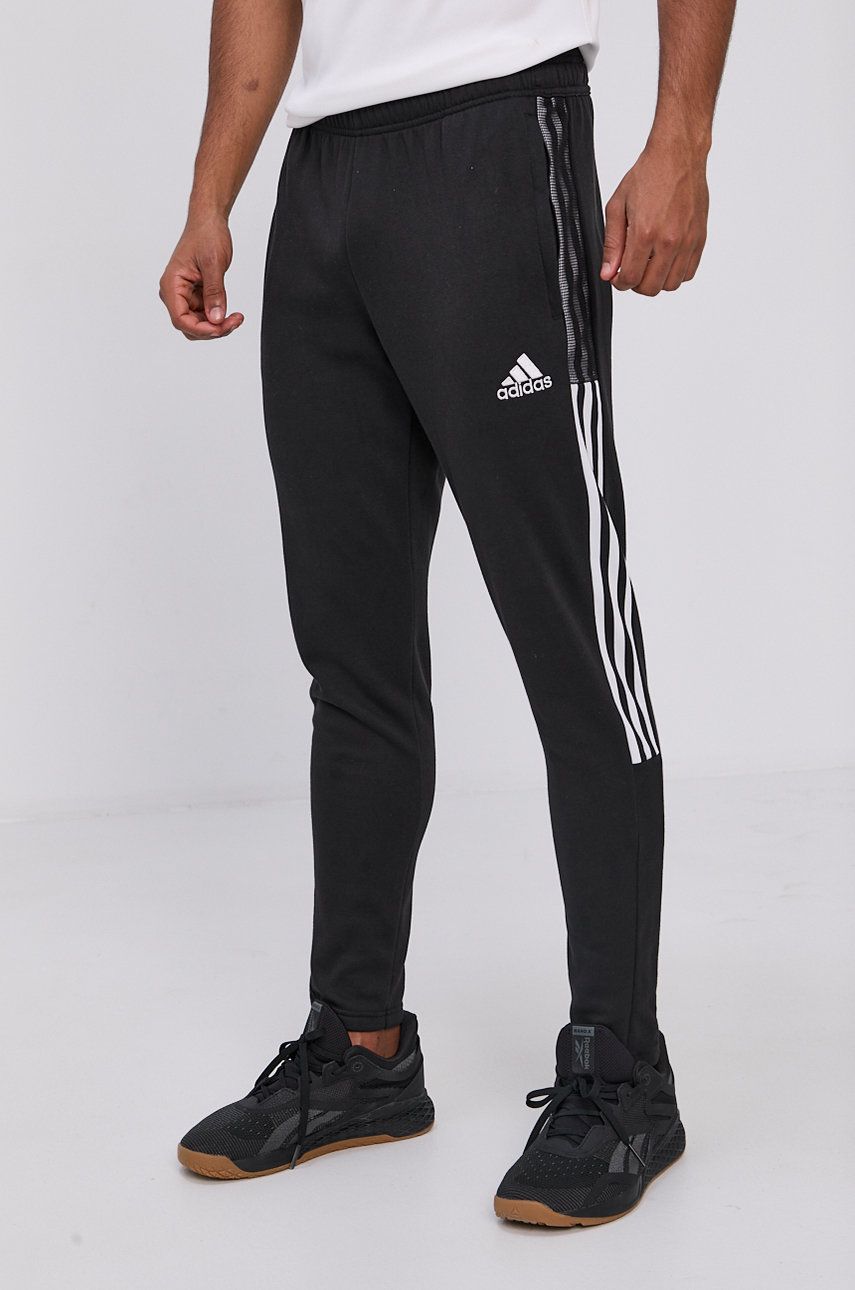 Adidas Performance Pantaloni GM7336 bărbați, culoarea negru, cu imprimeu adidas