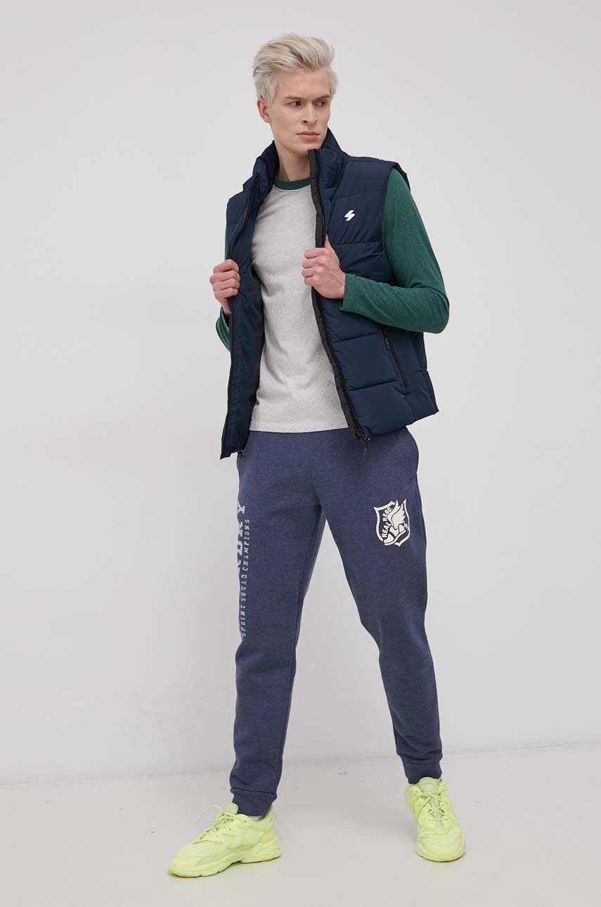 

Брюки Superdry мужские цвет синий с принтом