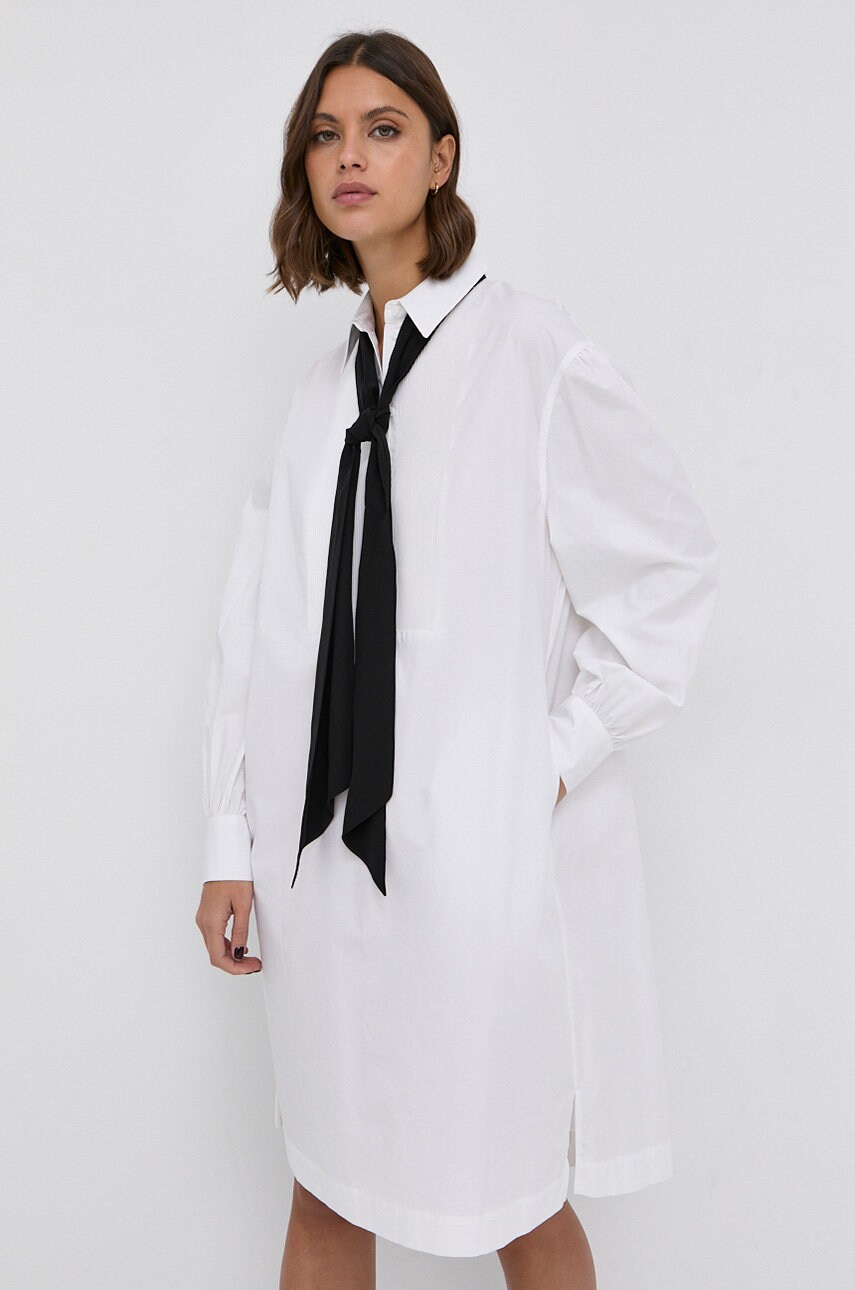 

Бавовняна сукня Karl Lagerfeld колір білий mini пряма