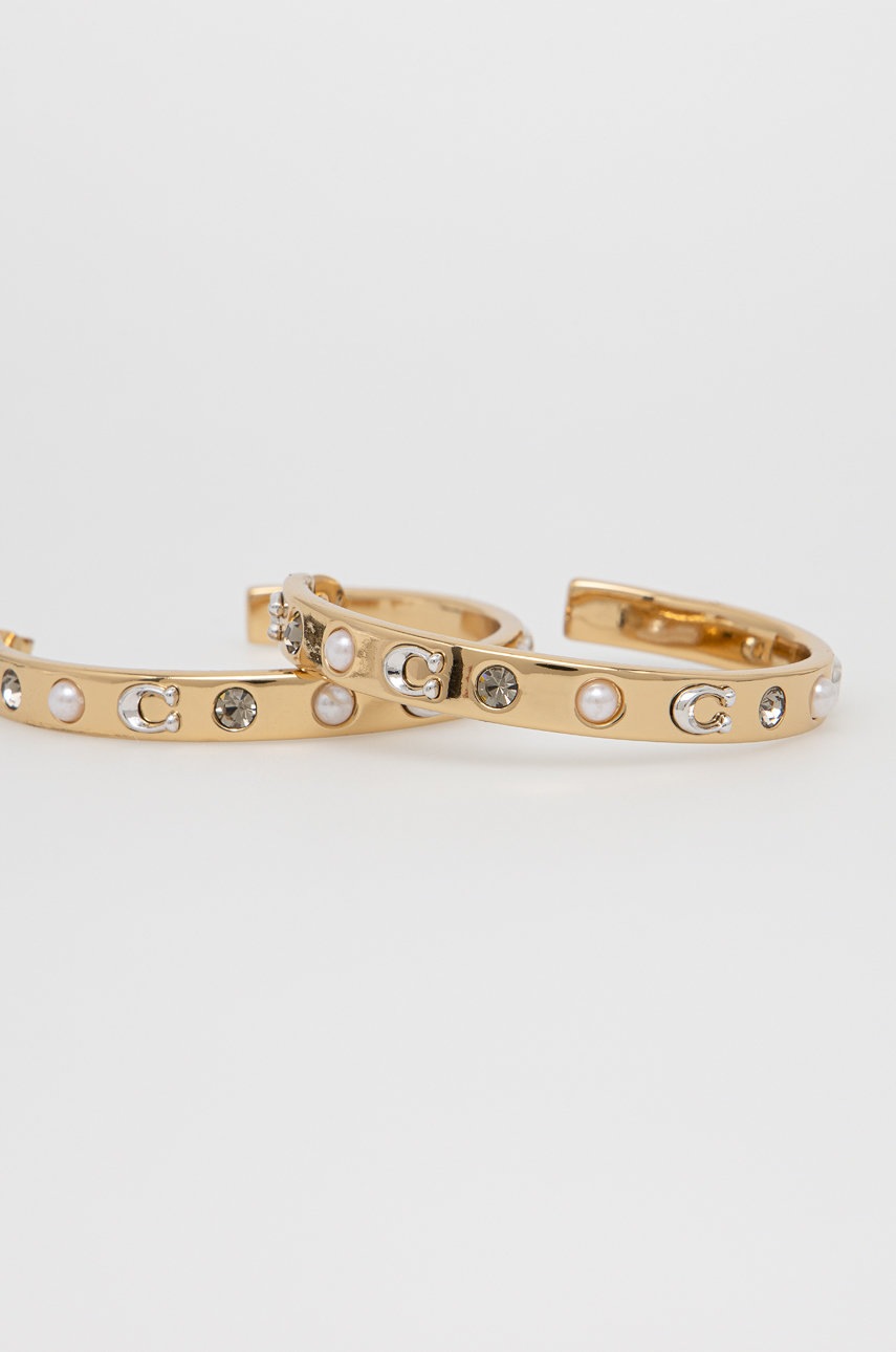 

Сережки Coach