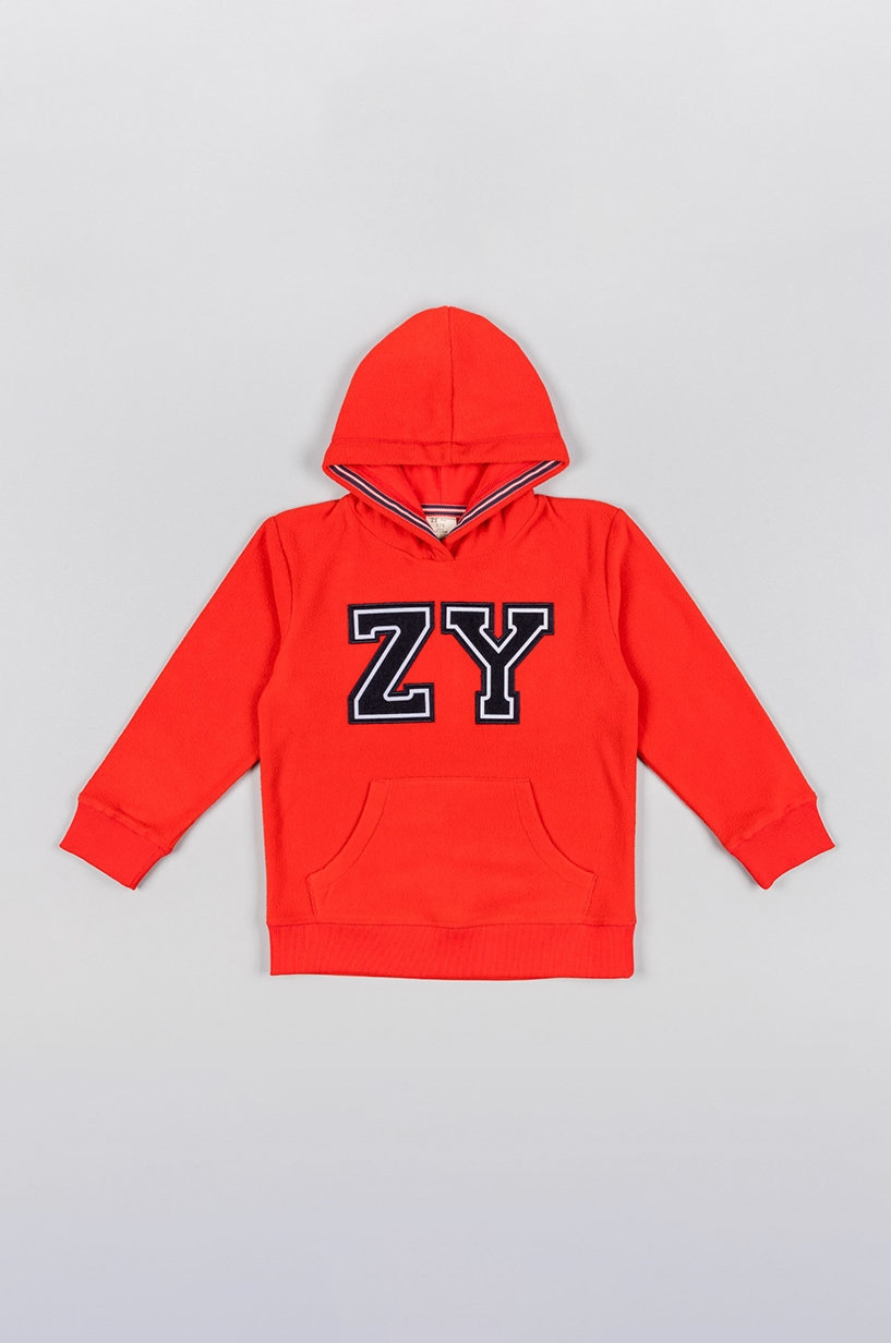 Детская кофта zippy цвет красный с капюшоном с принтом Детская кофта zippy цвет красный с капюшоном с принтом