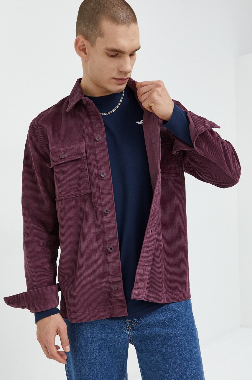Hollister co. camasa din bumbac barbati, culoarea violet, cu guler clasic, regular