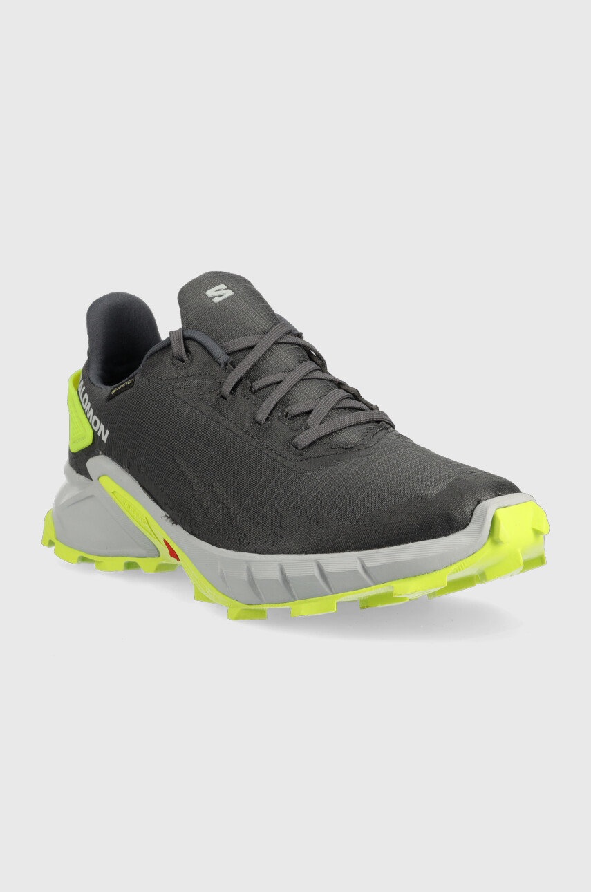 

Черевики Salomon Alphacross 4 Gtx колір сірий