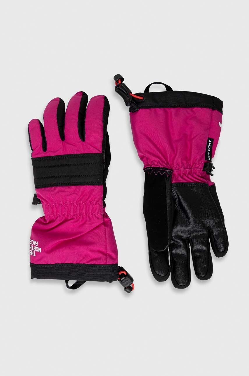 

Лыжные перчатки The North Face