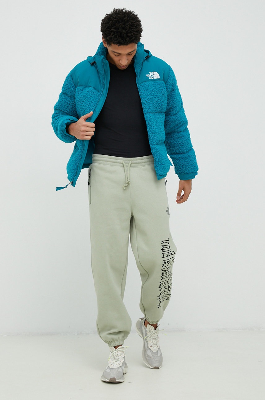 

Спортивные штаны The North Face мужские цвет зелёный с принтом