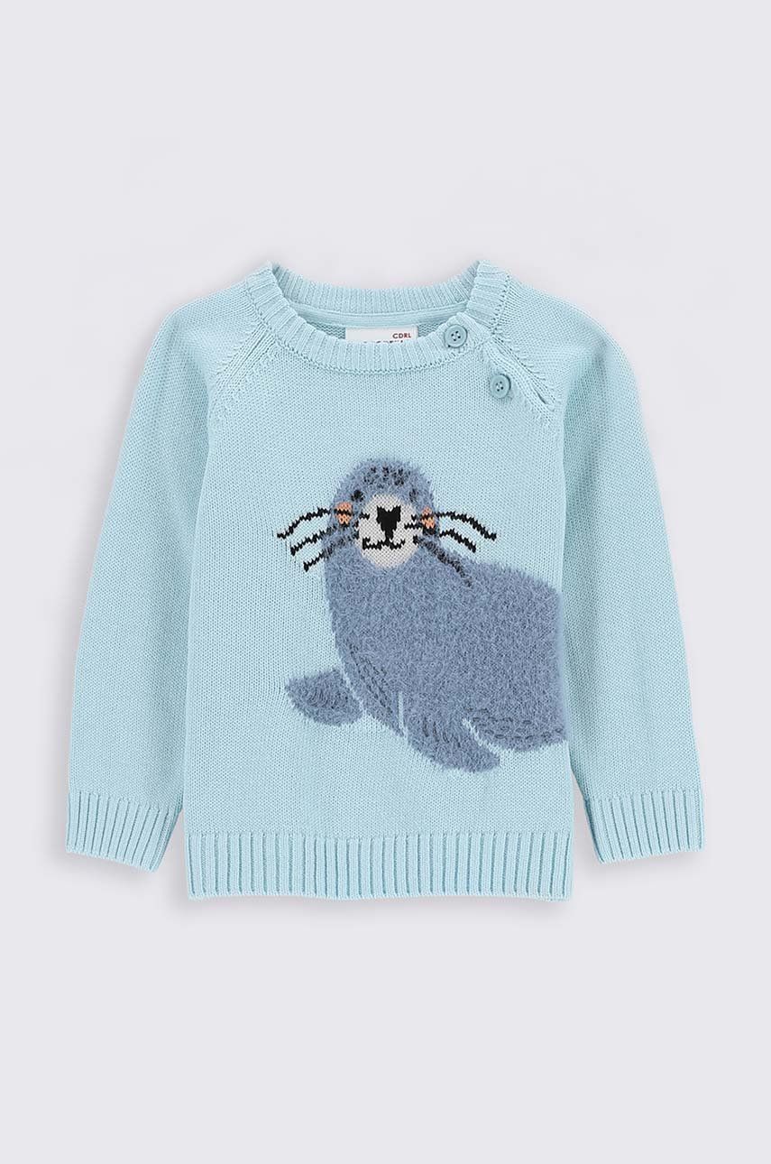 Coccodrillo sweter niemowlęcy kolor niebieski