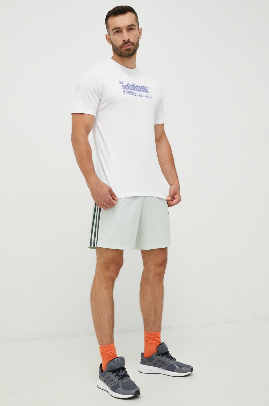

Тренировочные шорты adidas Essentials Chelsea мужские цвет зелёный