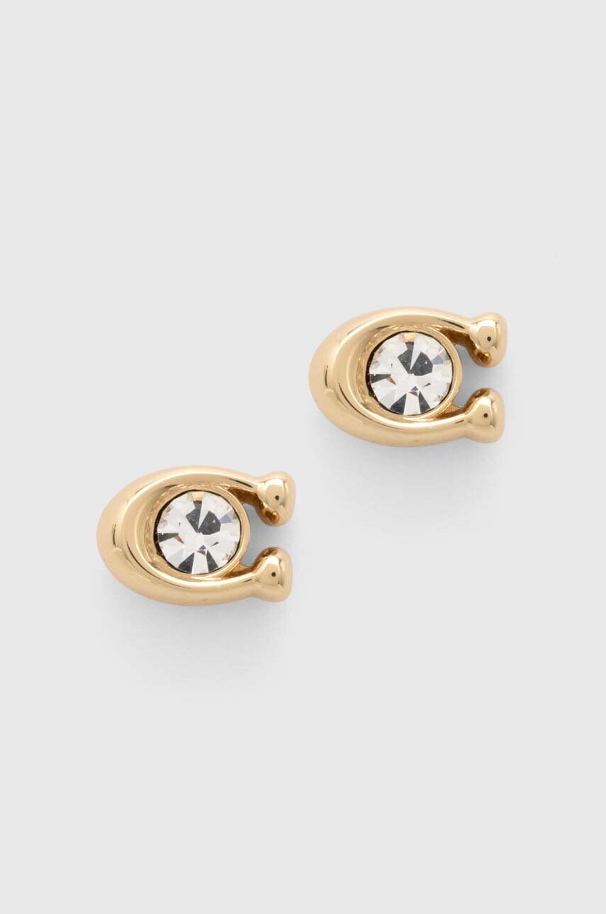 

Сережки Coach