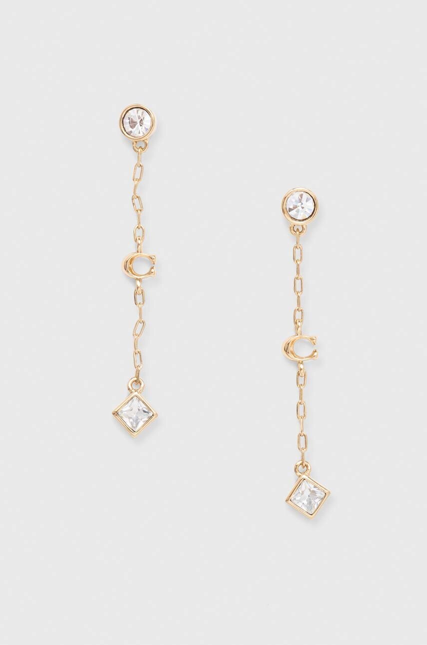 

Сережки Coach