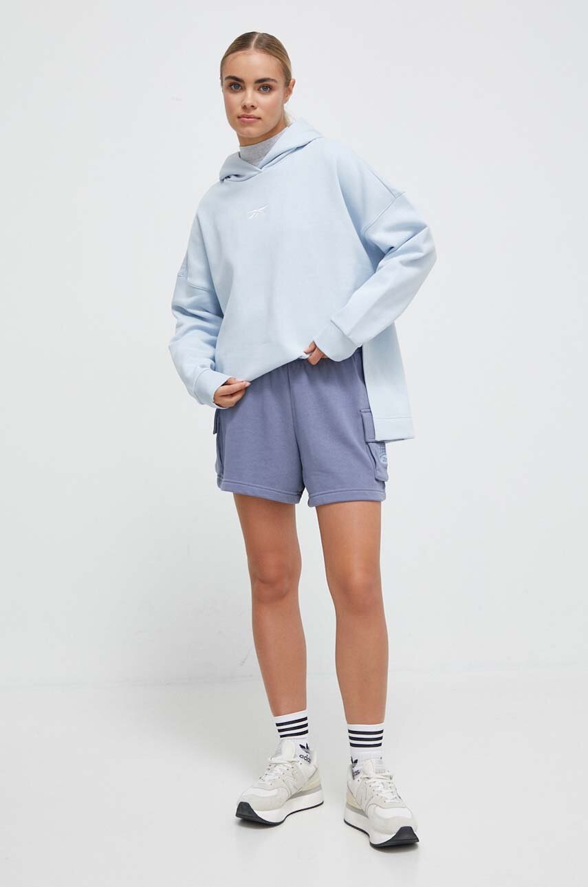 Longsleeve Reebok Classic χρώμα: γκρι φωτογραφία