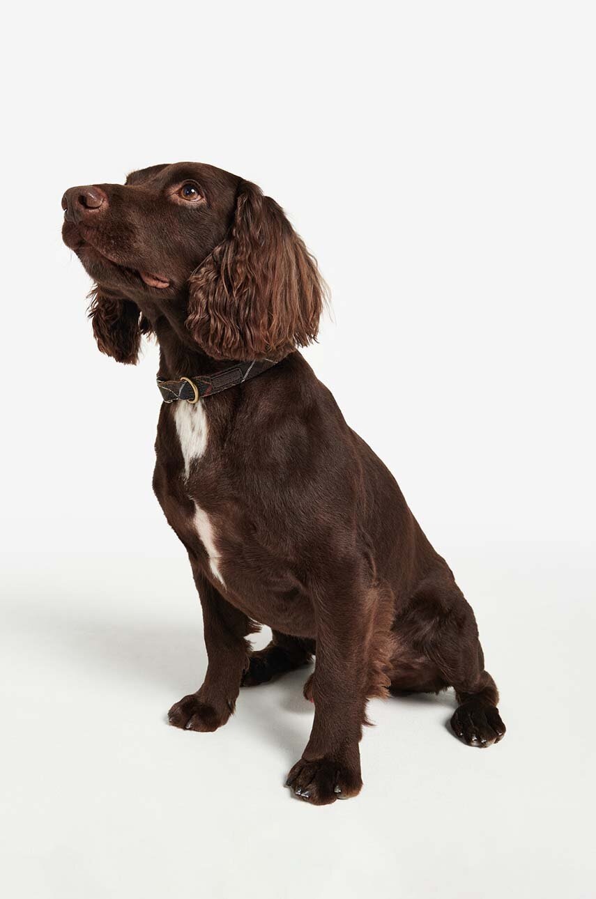 Κολάρο για σκύλους Barbour φωτογραφία