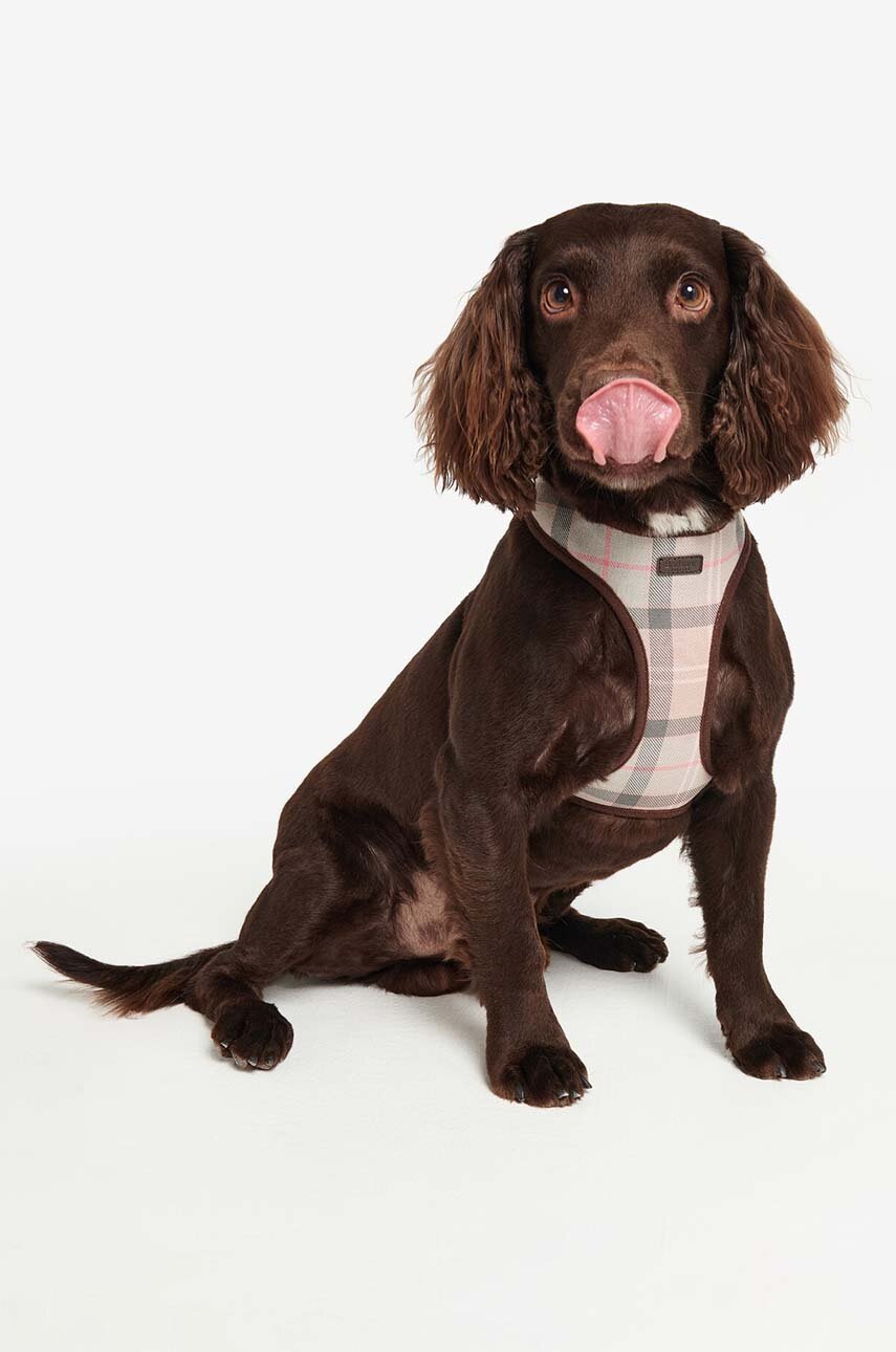 Λουρί για σκύλους Barbour φωτογραφία