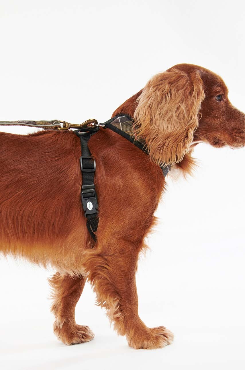 Λουρί για σκύλους Barbour φωτογραφία