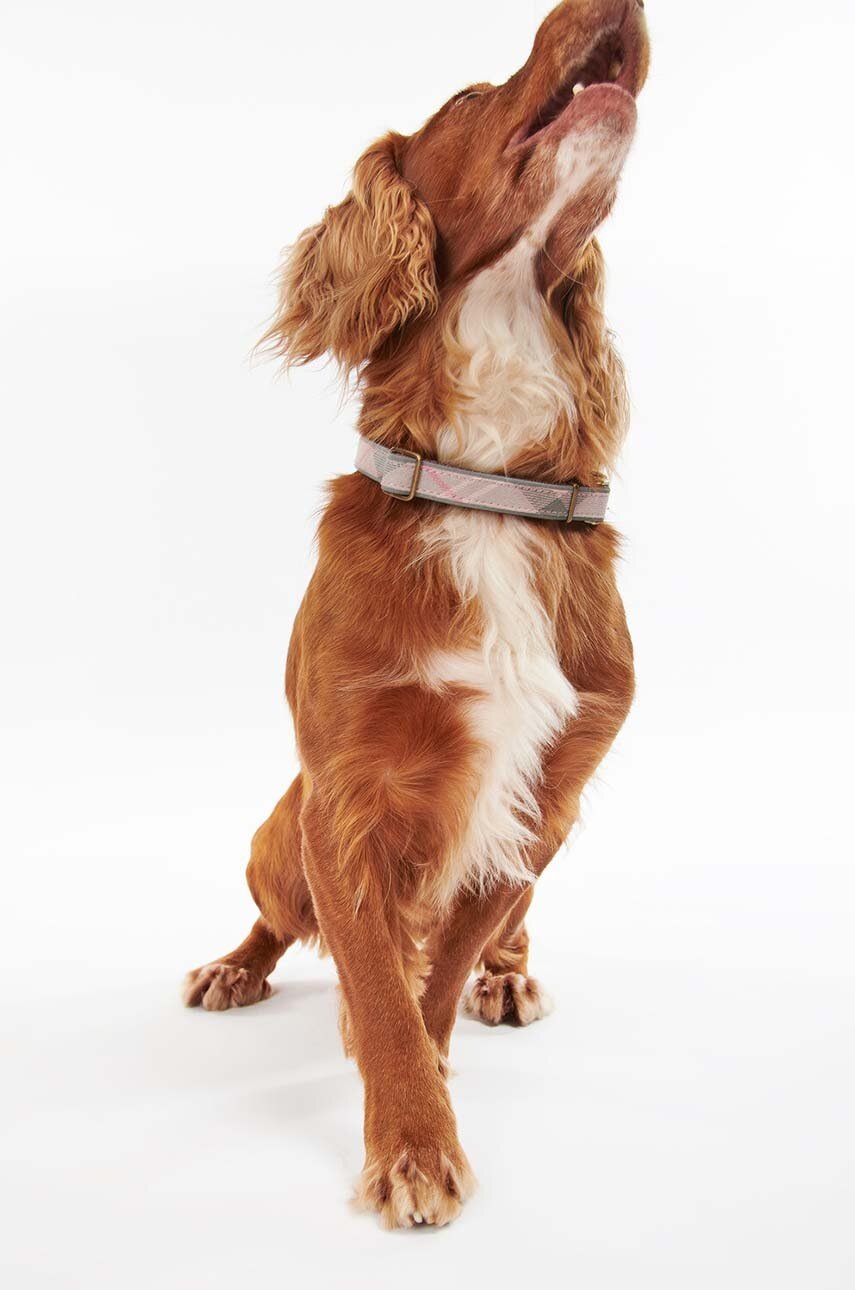 Κολάρο για σκύλους Barbour φωτογραφία