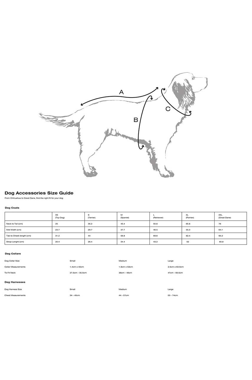 Λουρί για σκύλους Barbour φωτογραφία