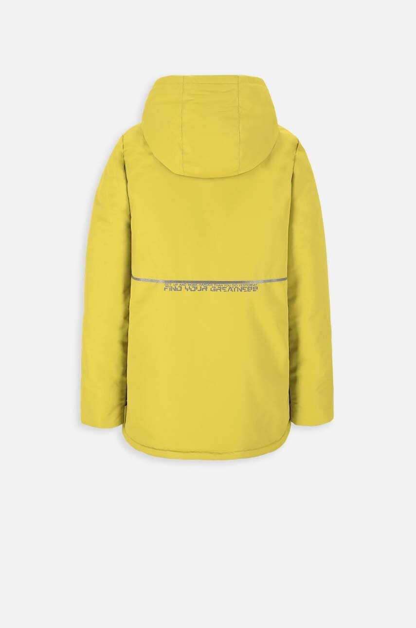 Детская куртка Lemon Explore ZL3152703OJB OUTERWEAR JESIEŃ BOY цвет жёлтый Детская куртка Lemon Explore ZL3152703OJB OUTERWEAR JESIEŃ BOY цвет жёлтый
