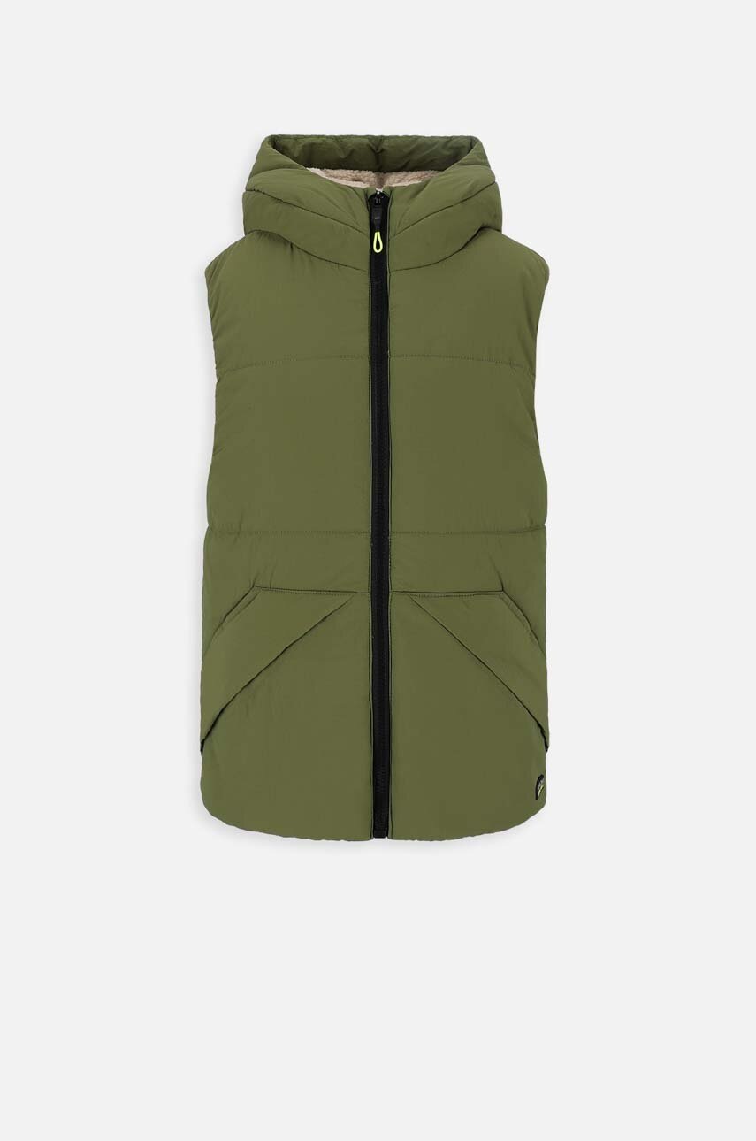 Безрукавка Lemon Explore ZL3178101OJB OUTERWEAR JESIEŃ BOY колір зелений Безрукавка Lemon Explore ZL3178101OJB OUTERWEAR JESIEŃ BOY колір зелений