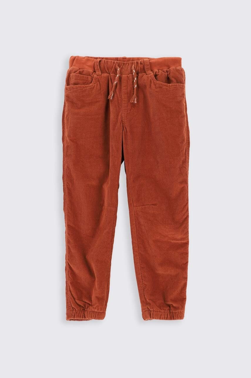 Детские брюки Coccodrillo цвет коричневый однотонные в Тернополе Детские брюки Coccodrillo цвет коричневый однотонные в Тернополе