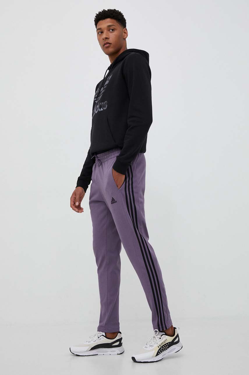 Adidas Pantaloni De Trening Culoarea Violet, Cu Imprimeu