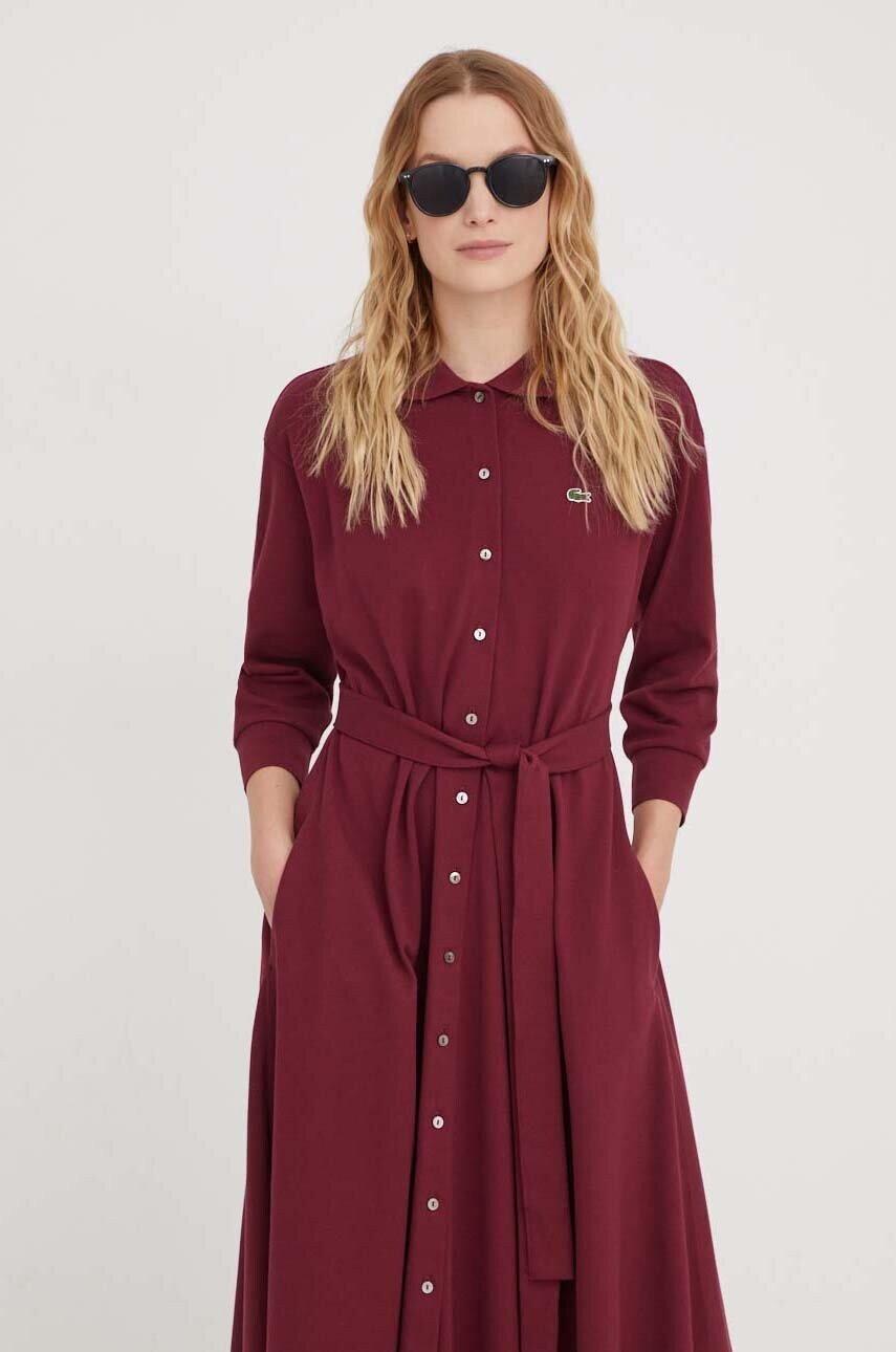 Бавовняна сукня Lacoste колір бордовий mini oversize