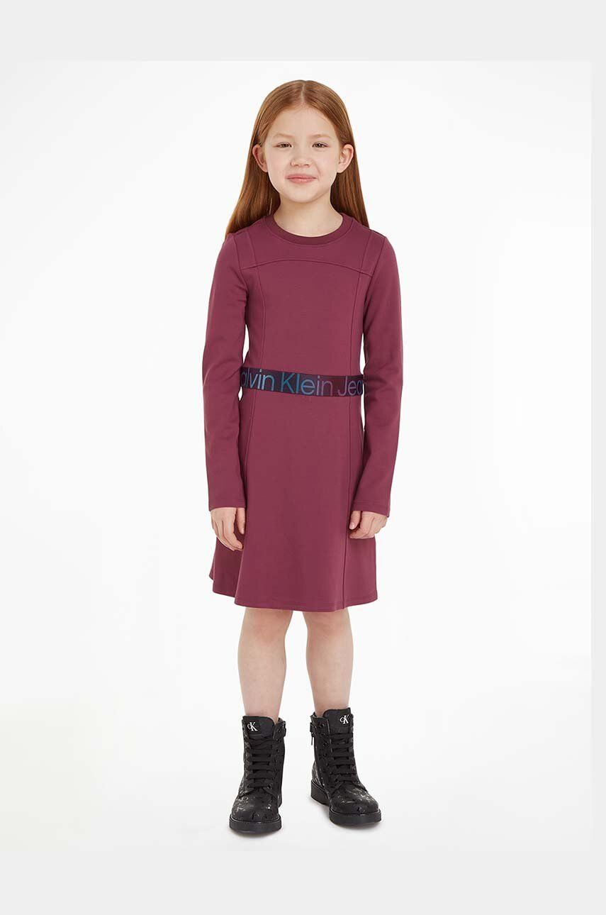 Levně Dívčí šaty Calvin Klein Jeans fialová barva, mini