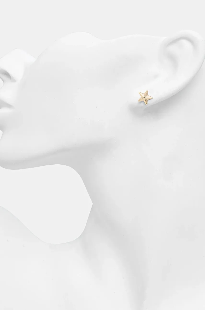 Сережки Lauren Ralph Lauren 14G00900 Сережки Lauren Ralph Lauren 14G00900