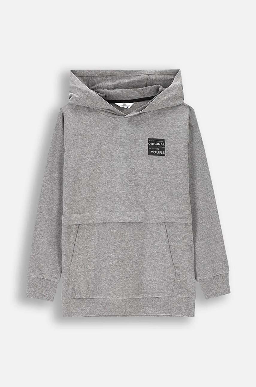 Coccodrillo bluza copii culoarea gri, cu glugă, cu imprimeu, EVERYDAY BOY