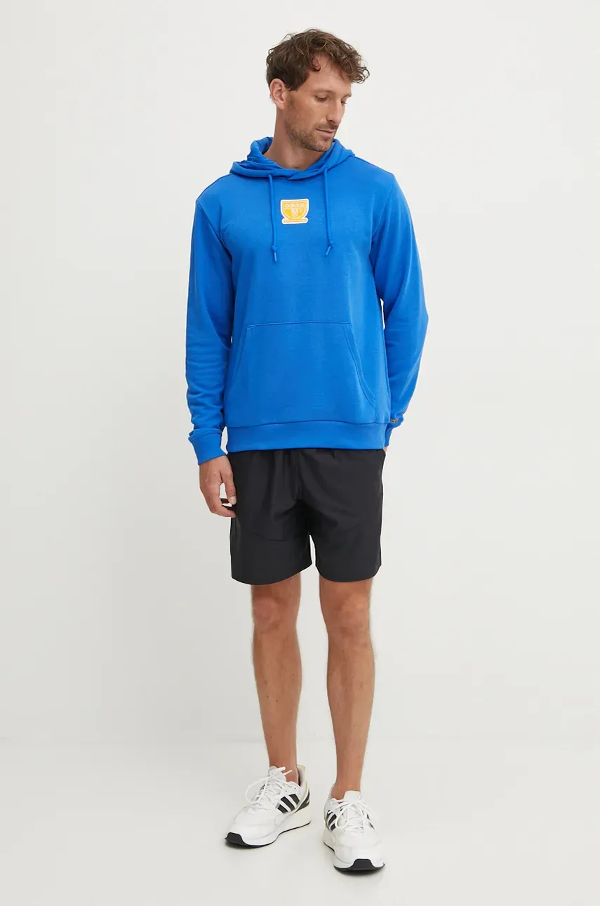 Кофта adidas Originals мужская с капюшоном с принтом IX9638 Кофта adidas Originals мужская с капюшоном с принтом IX9638