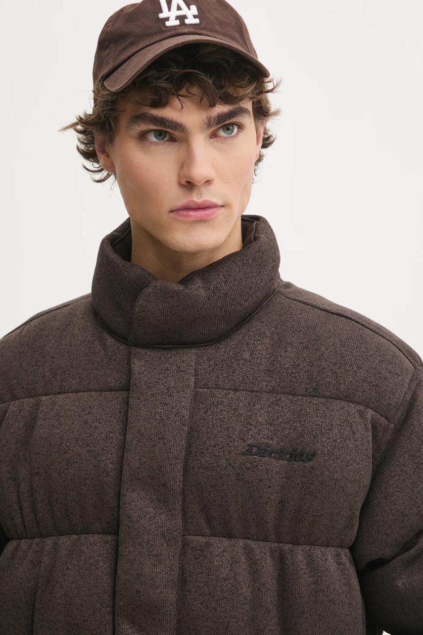 Куртка Dickies BAKER чоловіча колір чорний зимова DK0A4Z38 