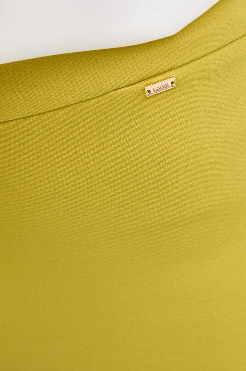 Παντελόνι Gaudi χρώμα: κίτρινο, 421FD24004 φωτογραφία