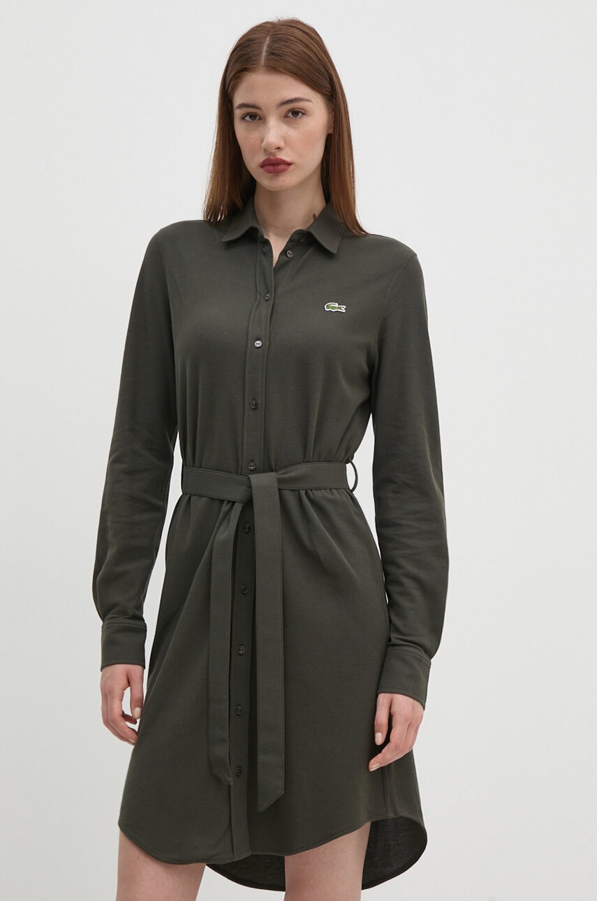 Бавовняна сукня Lacoste колір зелений mini пряма EF3263
