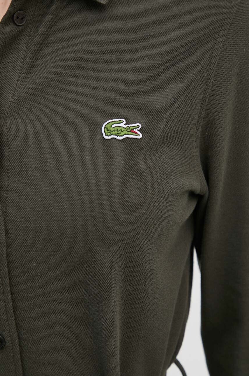 Бавовняна сукня Lacoste колір зелений mini пряма EF3263