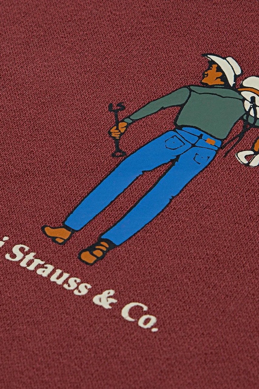 Dětská mikina Levi's SADDLE MAN HOODIE (obrázek 3)