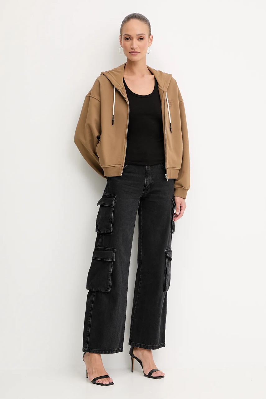 Хлопковая кофта Pinko цвет коричневый с капюшоном однотонная 105509 A2RB