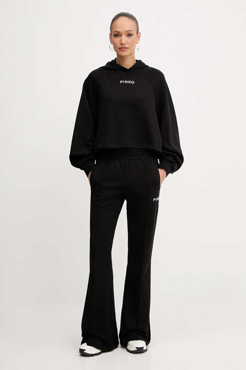 Кофта Pinko цвет чёрный с капюшоном с аппликацией 105726 A2UR