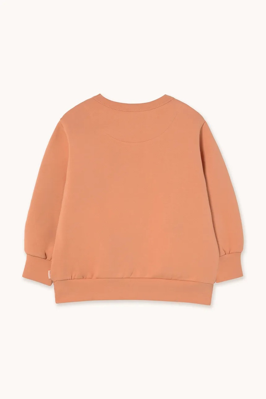 Детская хлопковая кофта Tinycottons FLOWERS EYES GRAPHIC SWEATSHIRT цвет коричневый с принтом AW25-285