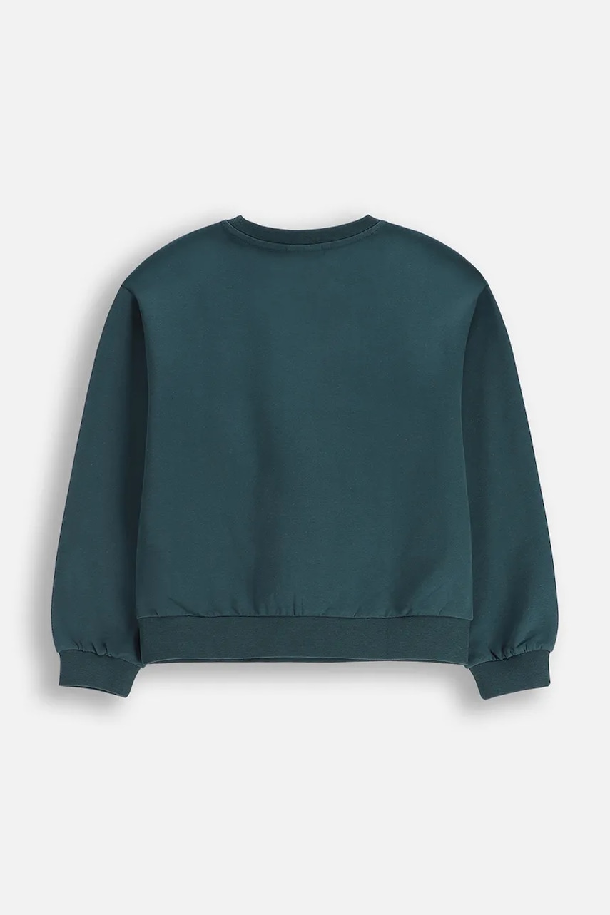 Детская кофта Coccodrillo цвет зелёный однотонная EVERYDAY GIRL A Детская кофта Coccodrillo цвет зелёный однотонная EVERYDAY GIRL A
