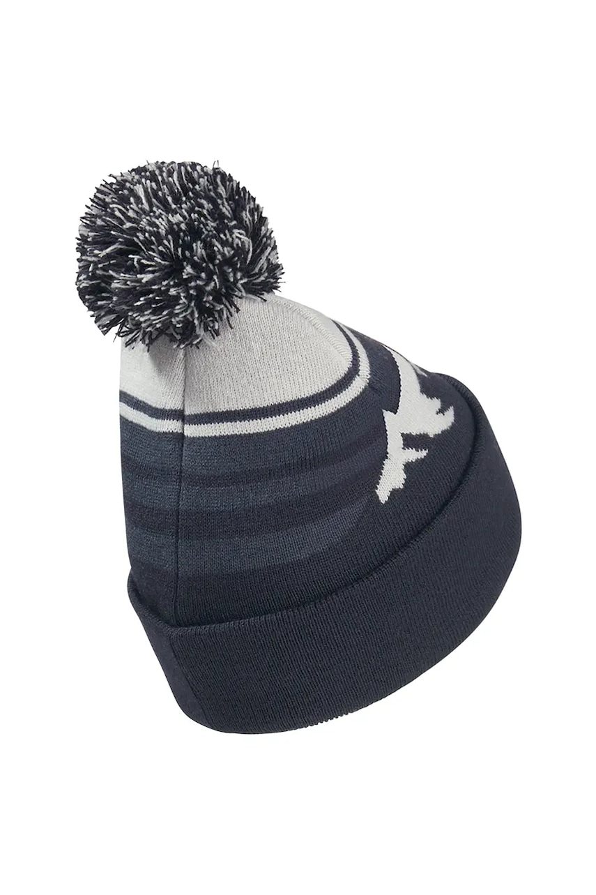 Детская шапка Jack Wolfskin STRIPY POMPOM BEANIE K цвет синий A65252 Детская шапка Jack Wolfskin STRIPY POMPOM BEANIE K цвет синий A65252