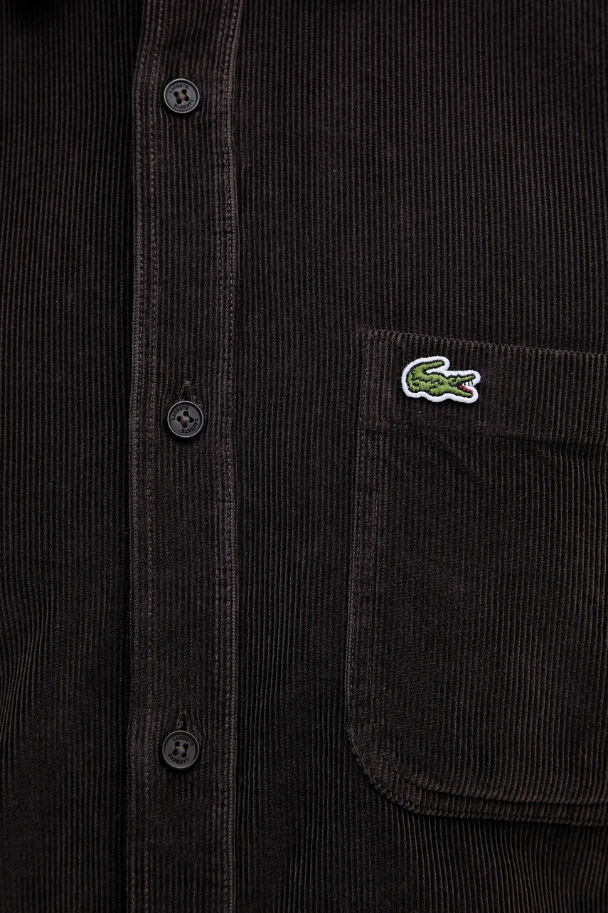 Manšestrová košile Lacoste (obrázek 5)