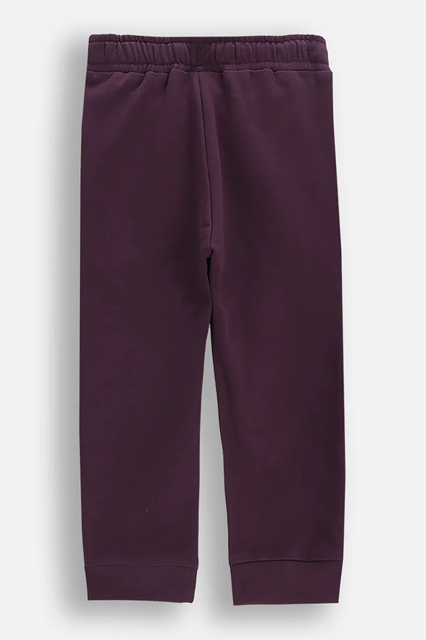 Хлопковые штаны для младенцев Coccodrillo цвет фиолетовый однотонные TEDDY BEAR GIRL NEWBORN